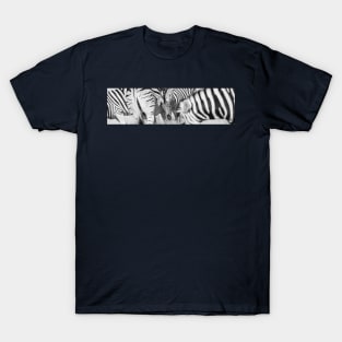 Zebra herd oblong black and white stripe full frame. T-Shirt